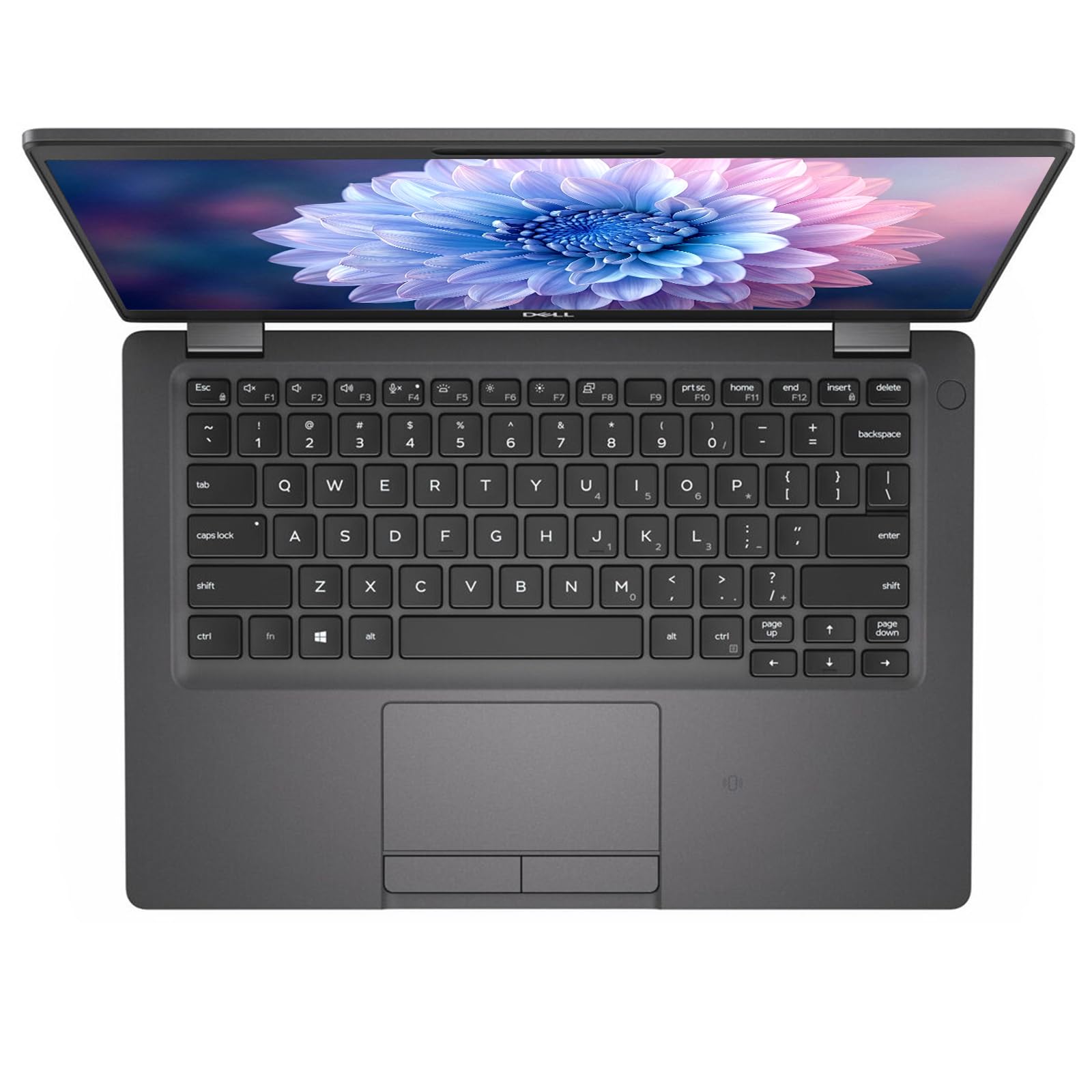 Amazon.com: Dell Latitude 5300 13.3